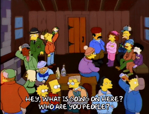 Who Are You People The Simpsons GIF