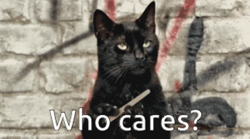 Who Cares Black Angry Cat GIF