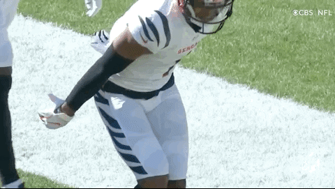 Who Dey Cincinnati Bengals Football Player GIF
