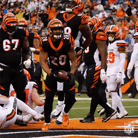 Who Dey Cincinnati Bengals Player Mixon Celebrating GIF