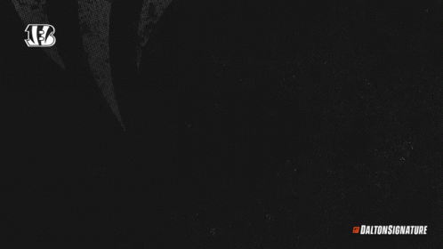 Who Dey In Orange Letters On Black Background GIF