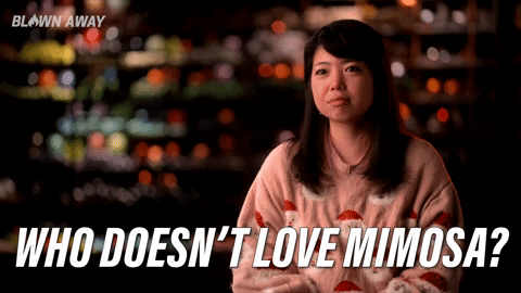 Who Doesn't Love Mimosa GIF