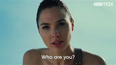 Who Is That Gal Gadot Wonder Woman GIF