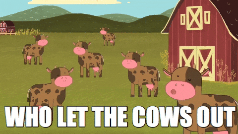 Who Let's The Moo Out GIF