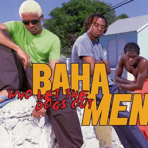 Who Let The Dogs Out Baha Men Animated Cover GIF