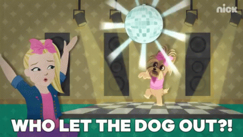 Who Let The Dogs Out Disco Ball Dance Nick GIF