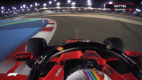Who Let The Dogs Out F1 Sebastian Vettel GIF