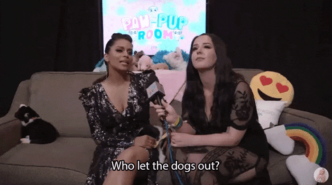 Who Let The Dogs Out Lilly Singh GIF