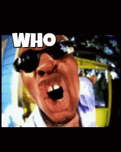 Who Let The Dogs Out Who Who Who Who Gif GIF