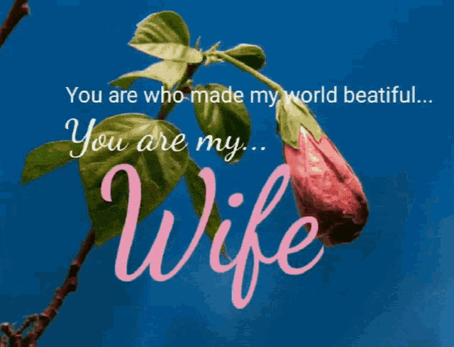 Who Made My World Beautiful My Wife GIF