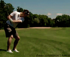 Who's Coming With Me To Get The Ball GIF