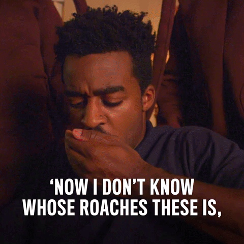 Who's Roaches Are These GIF