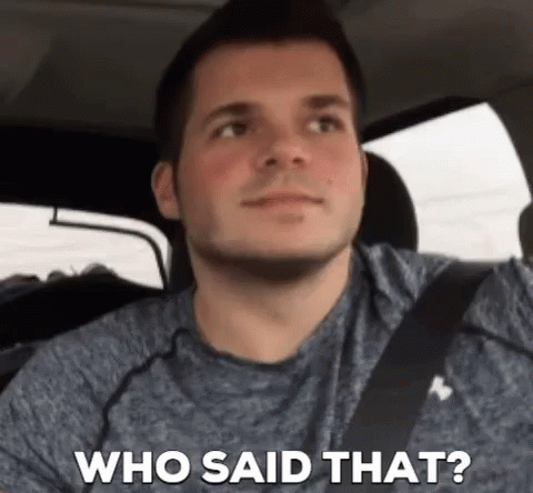 Who Said That Guy Man Wearing Seatbelt GIF