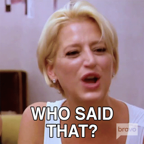 Sonja Morgan Who Said That GIF