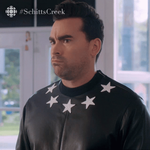 Who Said That David Rose Guilt Face GIF