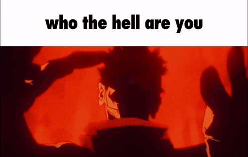 Who the Hell Are You