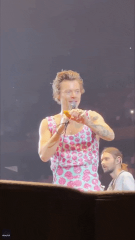 Who Threw The Chicken Nugget GIF