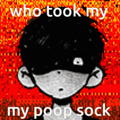 Who Took My Poop Sock Meme GIF