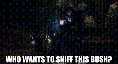 Who Wants To Sniff This Bush GIF