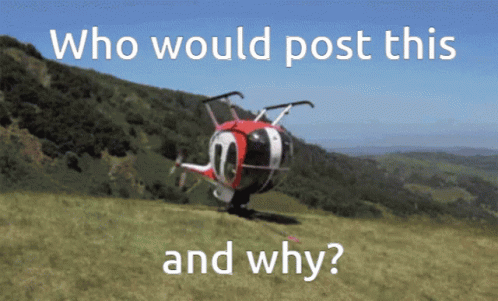 Who Would Post This And Why Helicopter Meme GIF