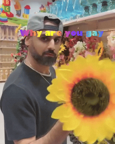 Why Are You Gay Gay People Is Beautiful GIF