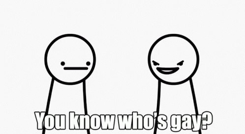 Stab Stop Why Are You Gay GIF