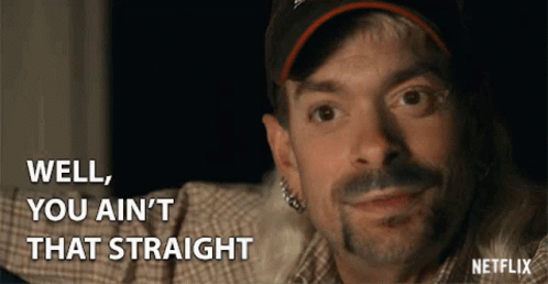 Why Are You Gay You Ain't That Straight GIF