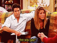 Why Are You Gay Ross Geller GIF