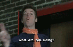 Why Are You Gay What Are You Doing GIF