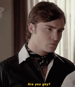 Why Are You Gay Chuck Bass GIF