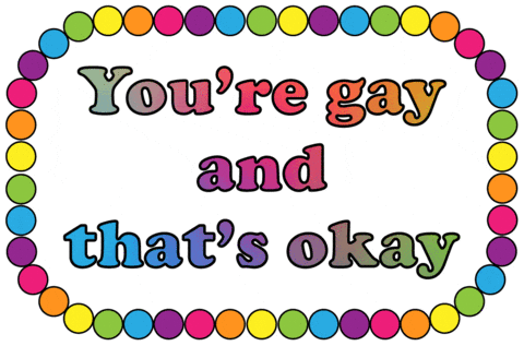 Why Are You Gay That's Okey GIF