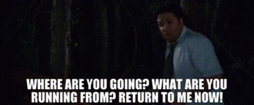 Why Are You Running Seth Rogen GIF