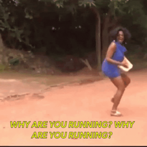 Why Are You Running From Police Meme GIF