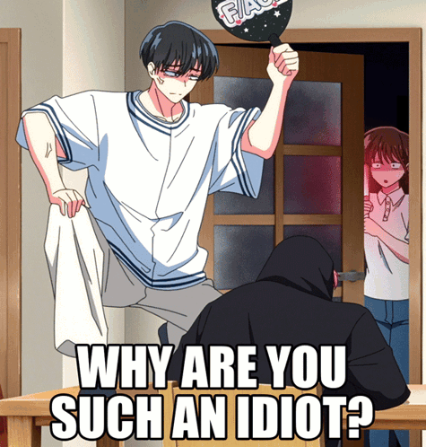 Why Are You Such An Idiot Cartoon