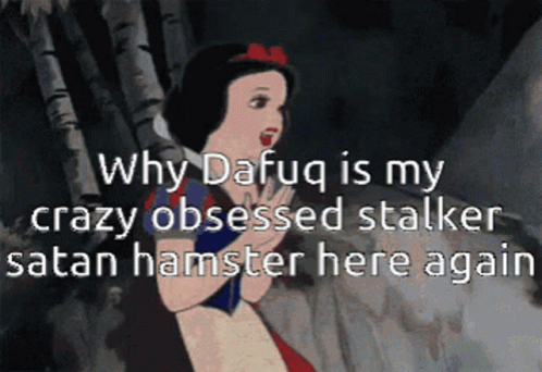 Why Dafug Is My Crazy Obsessed Stalker Satan Hamster Here Again Written On A Cartoon GIF
