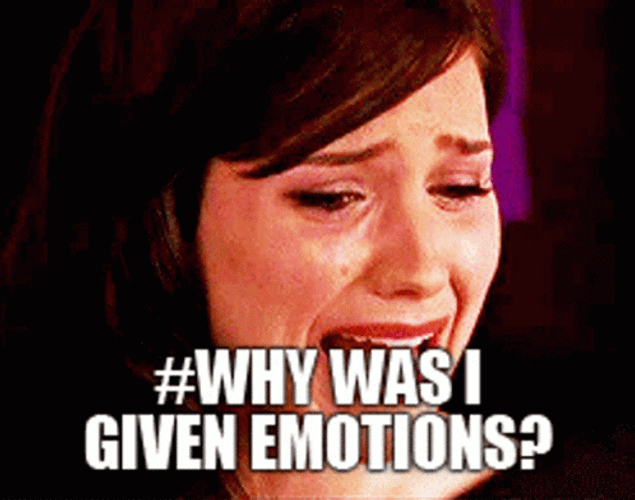 Why I Was Given Emotions GIF