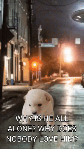 Why Is He All Alone Why Does Nobody Love Him Poster GIF