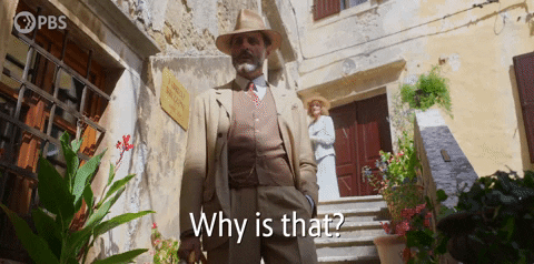 Why Is That Curious GIF