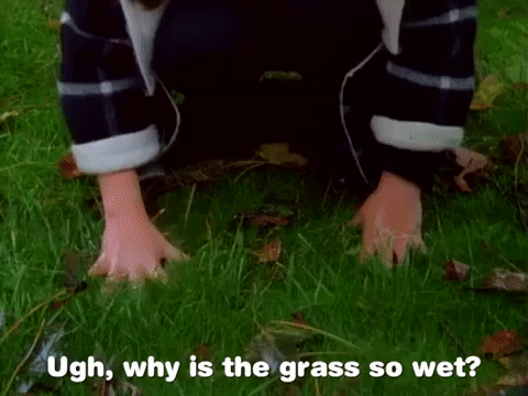 Why Is The Grass Soaking Wet GIF