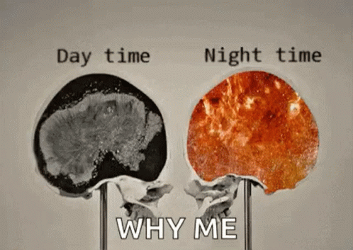 Why Me Late Night Thoughts Illustration GIF