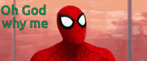 Why Me Spiderman Face Palm GIF