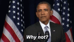 Why Not Barack Obama Confused GIF