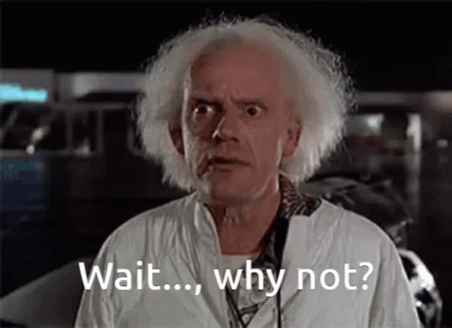Why Not Emmett Brown Back To The Future GIF