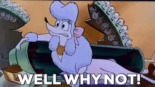 Why Not Georgette Oliver And Company GIF