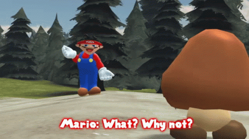 Why Not Super Mario Game GIF