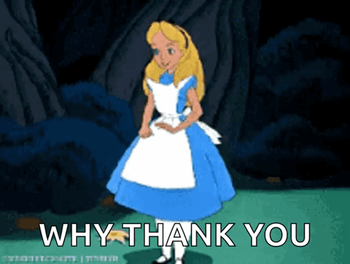 Why Thank You Cinderella GIF