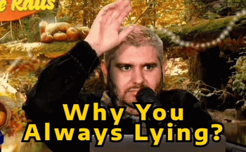 Why You Always Lying Ethan Klein Youtuber GIF