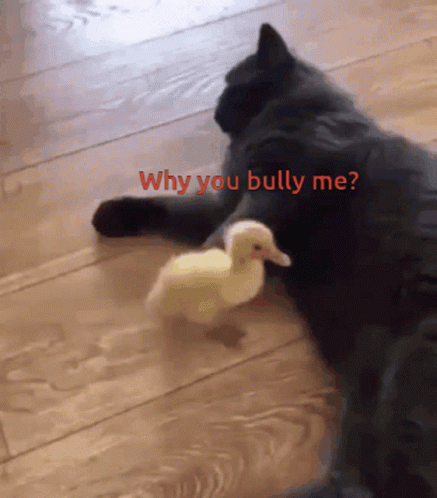Why You Bully Me Little Duck GIF