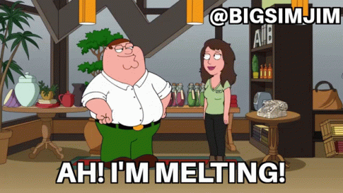 Wicked Witch I'm Melting Peter Griffin GIF