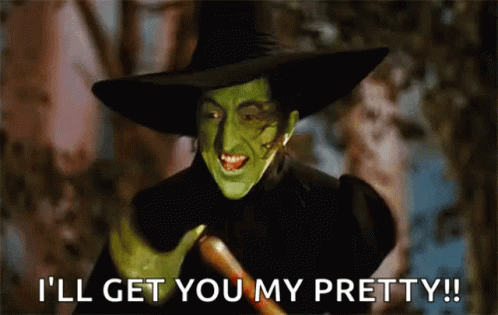 Wicked Witch Melting I'll Get You My Pretty GIF